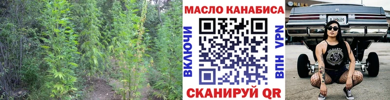 Купить закладки  Кадников  Дистиллят ТГК жижа 