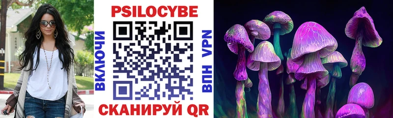 Псилоцибиновые грибы мицелий  Купить закладки  Кадников 